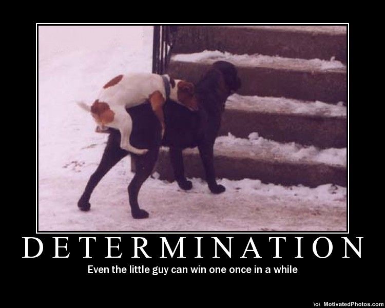 [Image: determination.jpg]